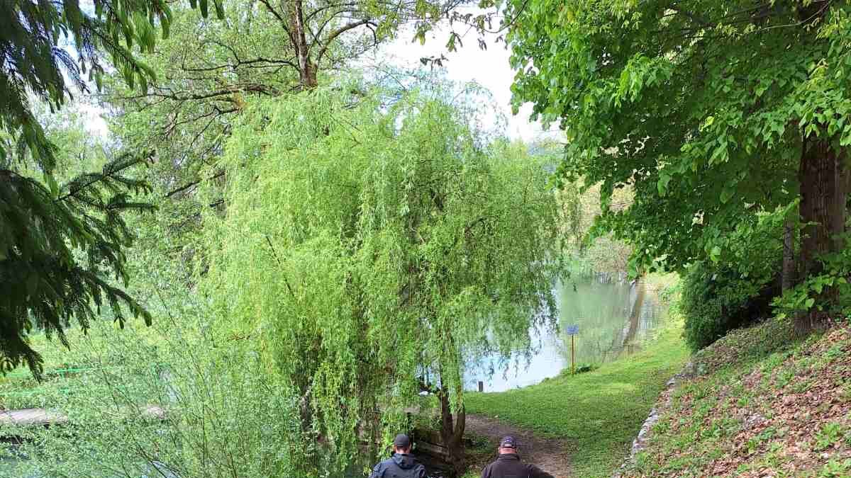 image-56